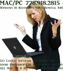 windows xp network card drivers